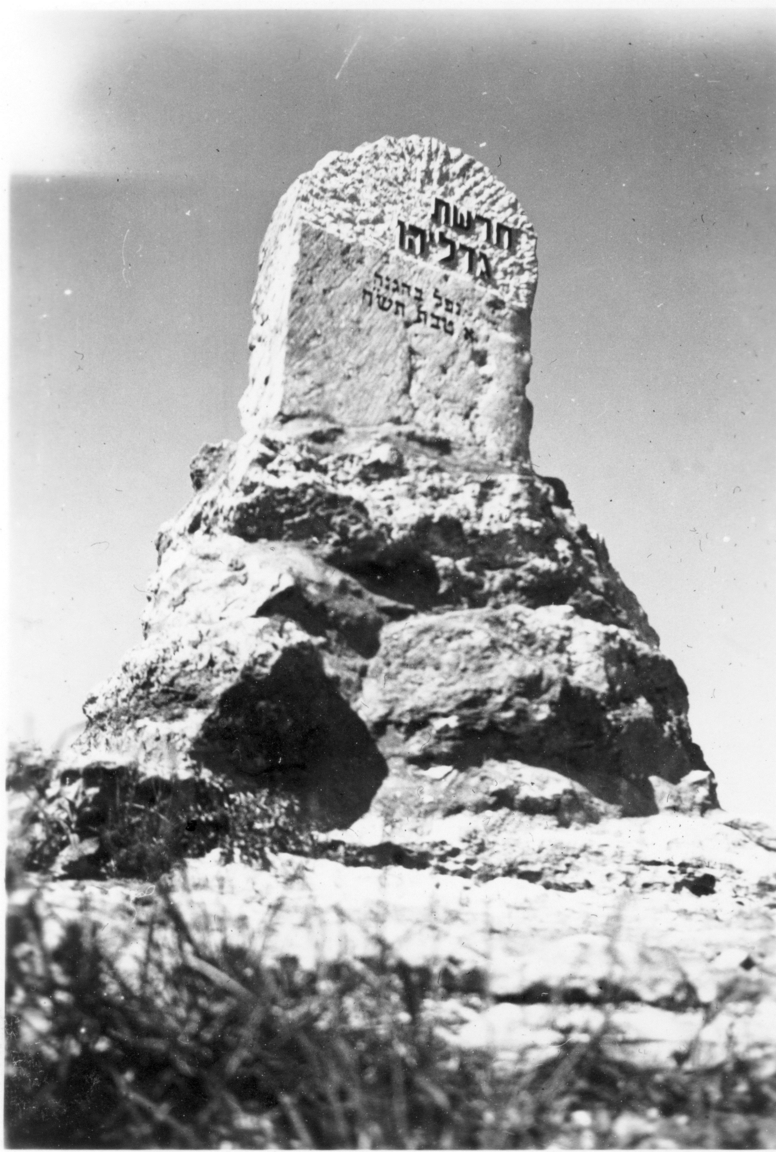 114.jpg