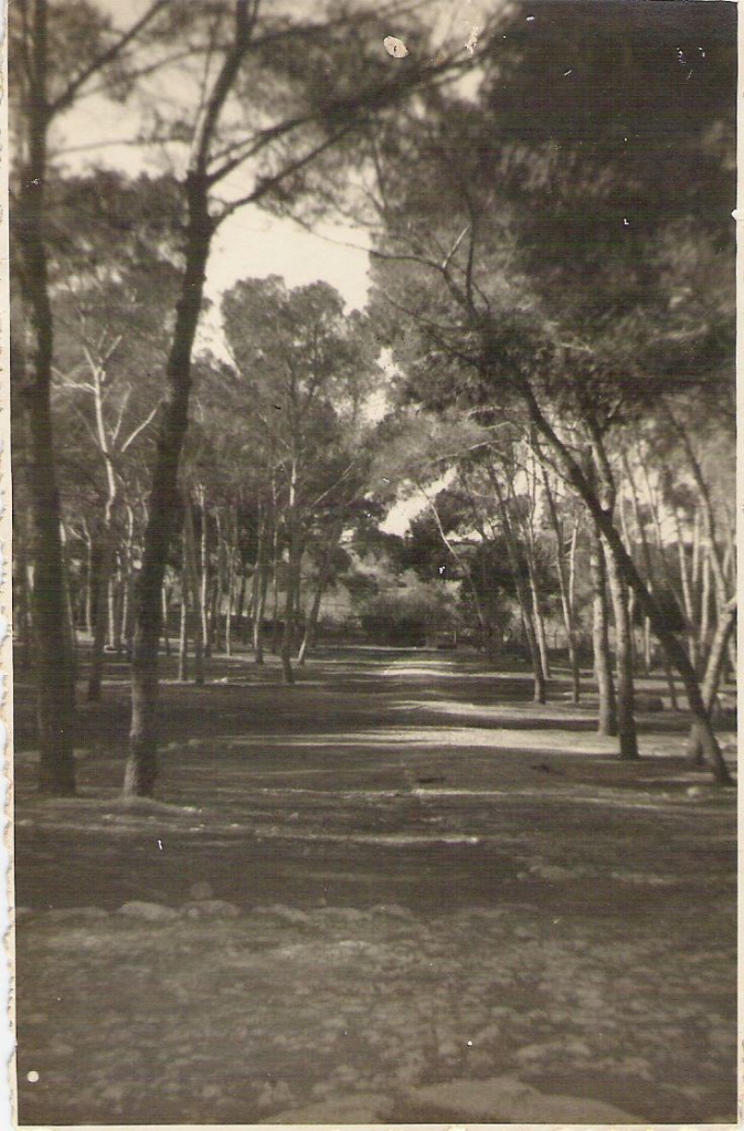 259.jpg