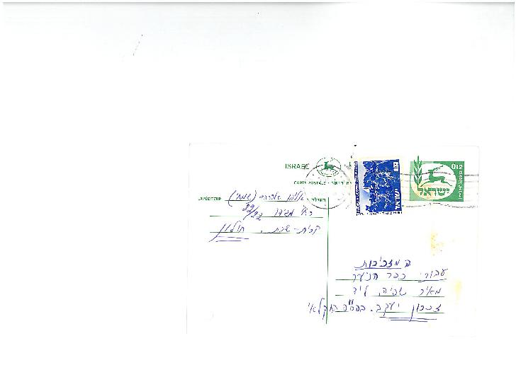 2939_1.jpg