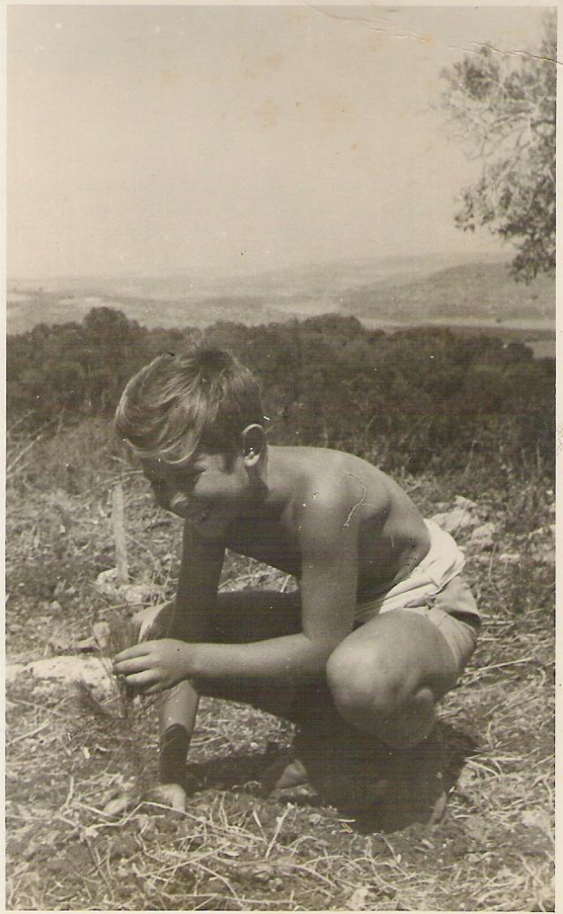 349.jpg