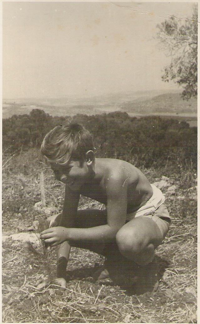 349.jpg