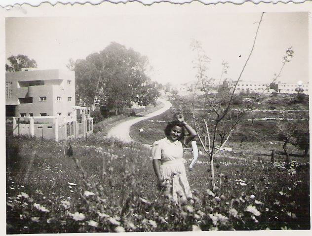 358.jpg