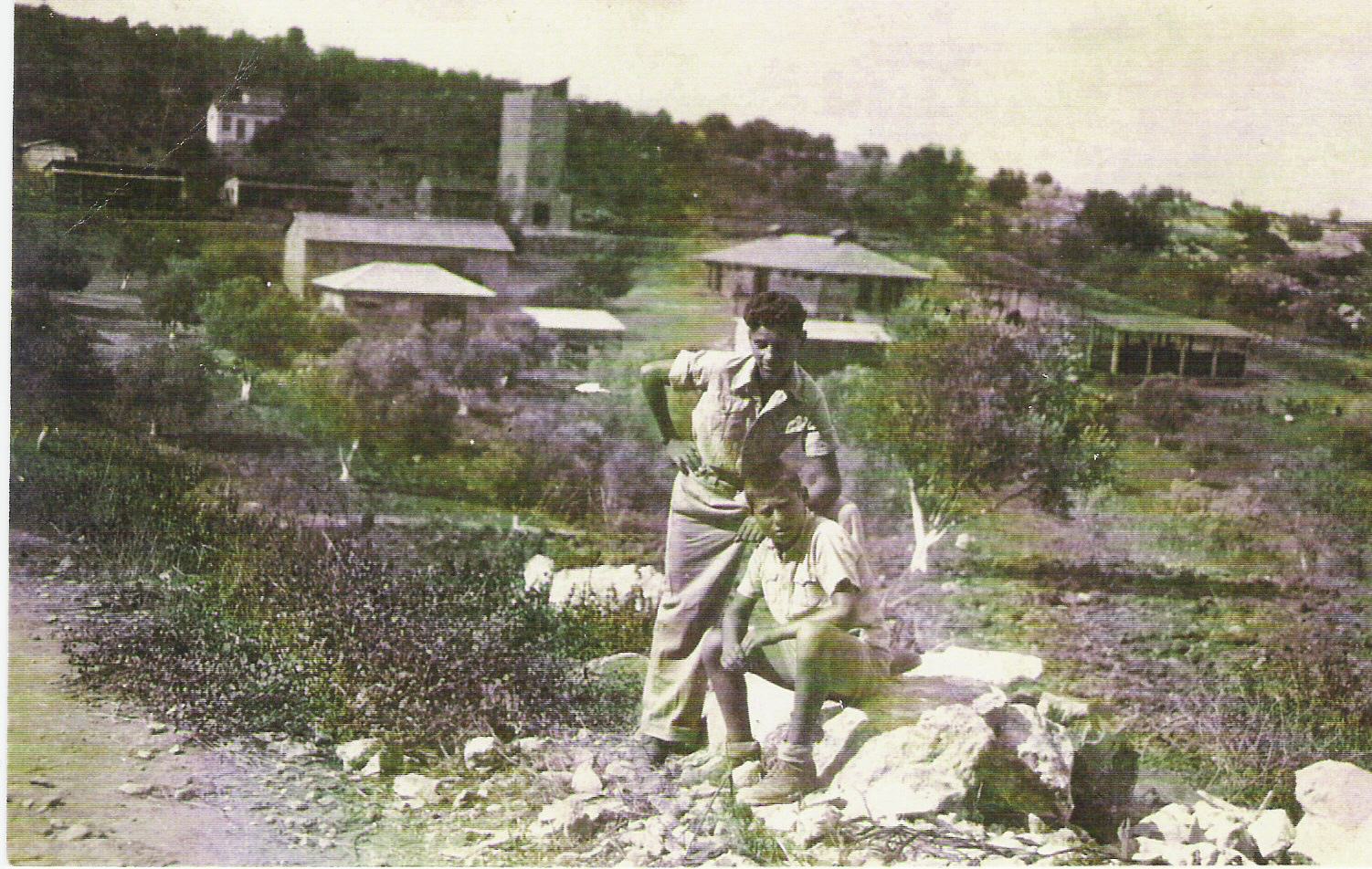 370.jpg