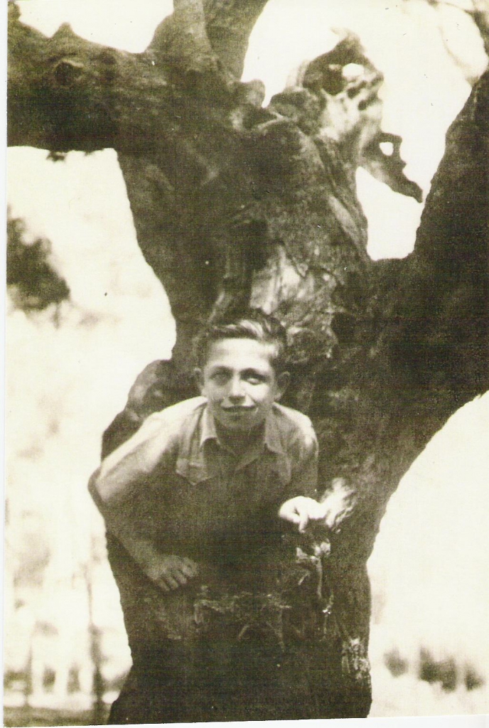 372.jpg