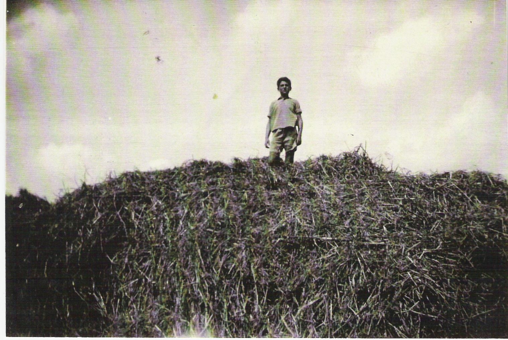 373.jpg