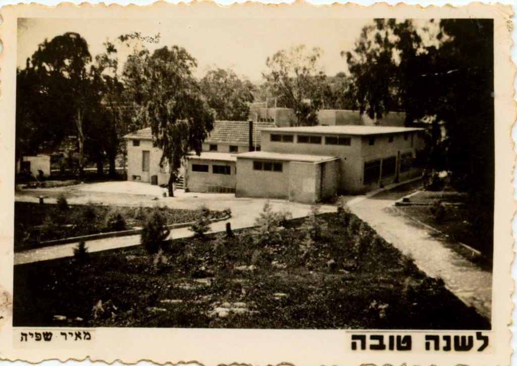 637.jpg